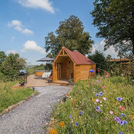 Llangerniew Dol Y Mynydd The Mountain Meadow-Qu7521 빌라 외부 사진